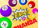Bingo bonanas