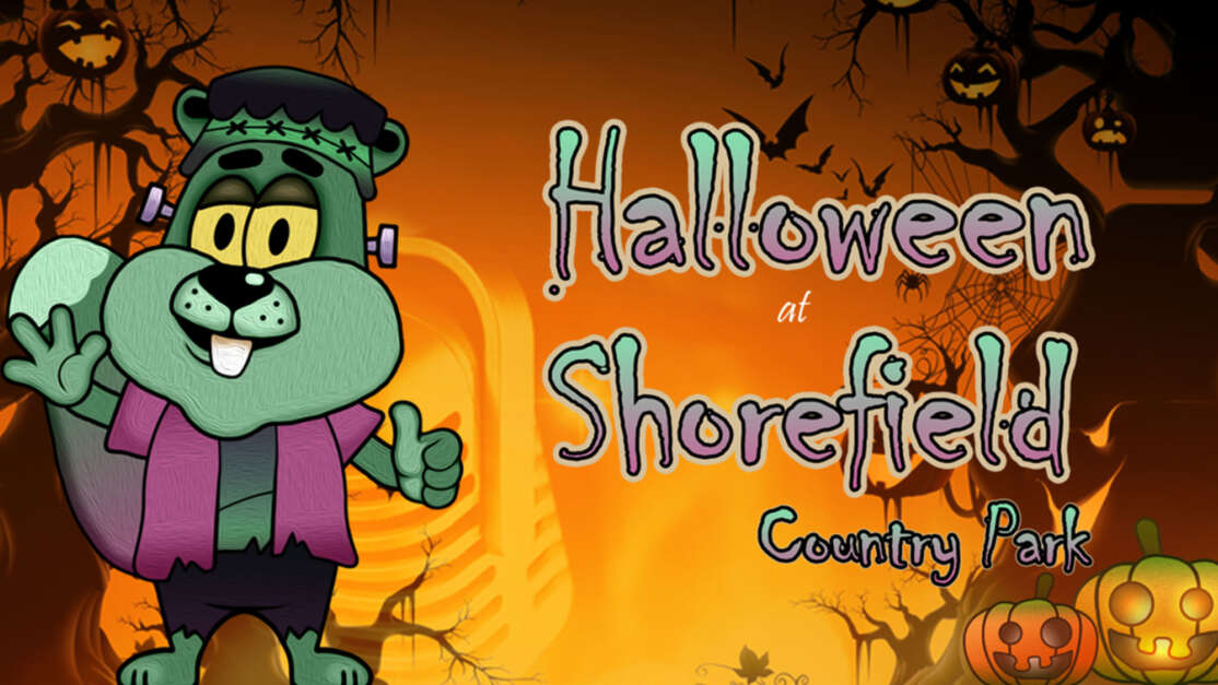 Halloween-at-Shorefield-Country-Park