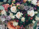 Wimborne Flower fest