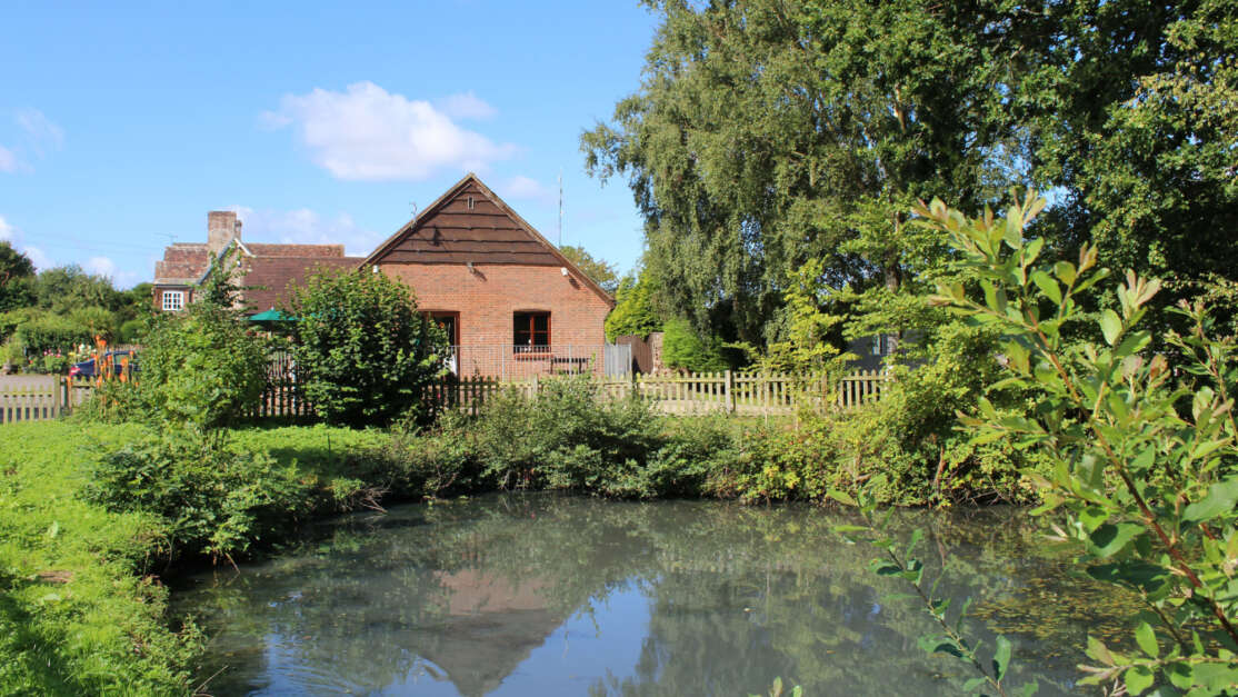 Wilksworth Pond Summer